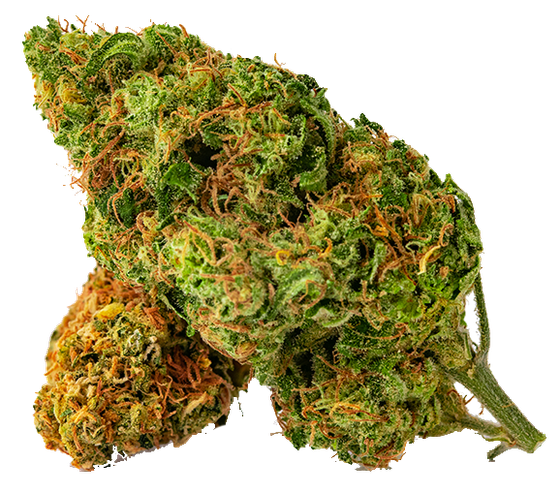 Two cannabis buds, green and orange, with visible trichomes, against a white background.