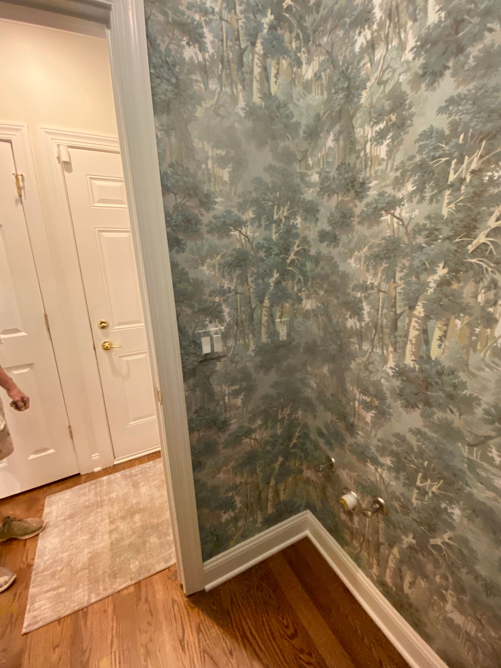 A person is standing in a hallway with a painting on the wall.