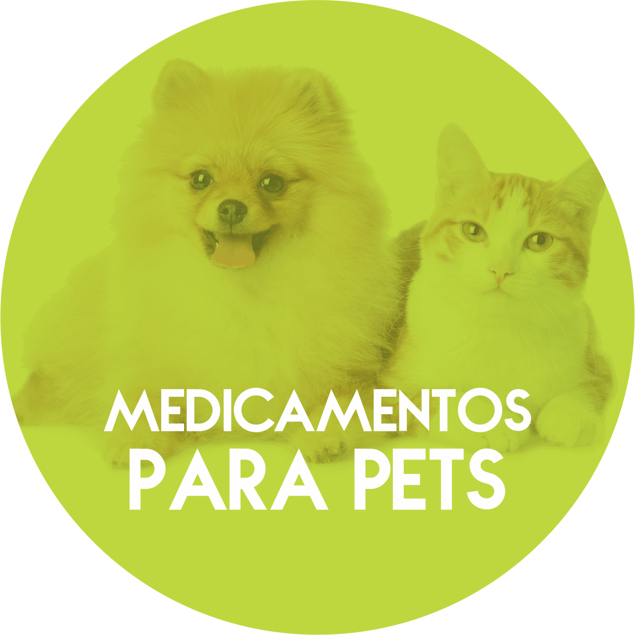 Um cachorro e um gato estão dentro de um círculo verde que diz medicamentos para animais de estimação