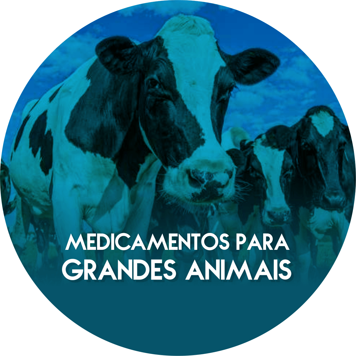 A blue circle with cows and the words medicamentos para grandes animais