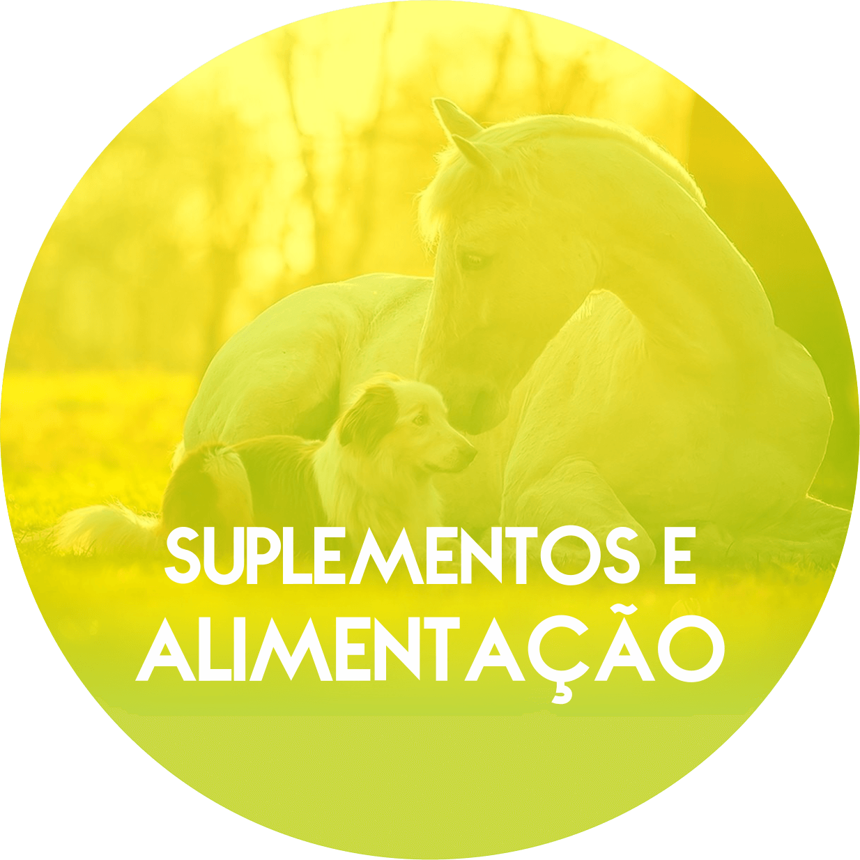 Um círculo amarelo com um cavalo e um cachorro dentro