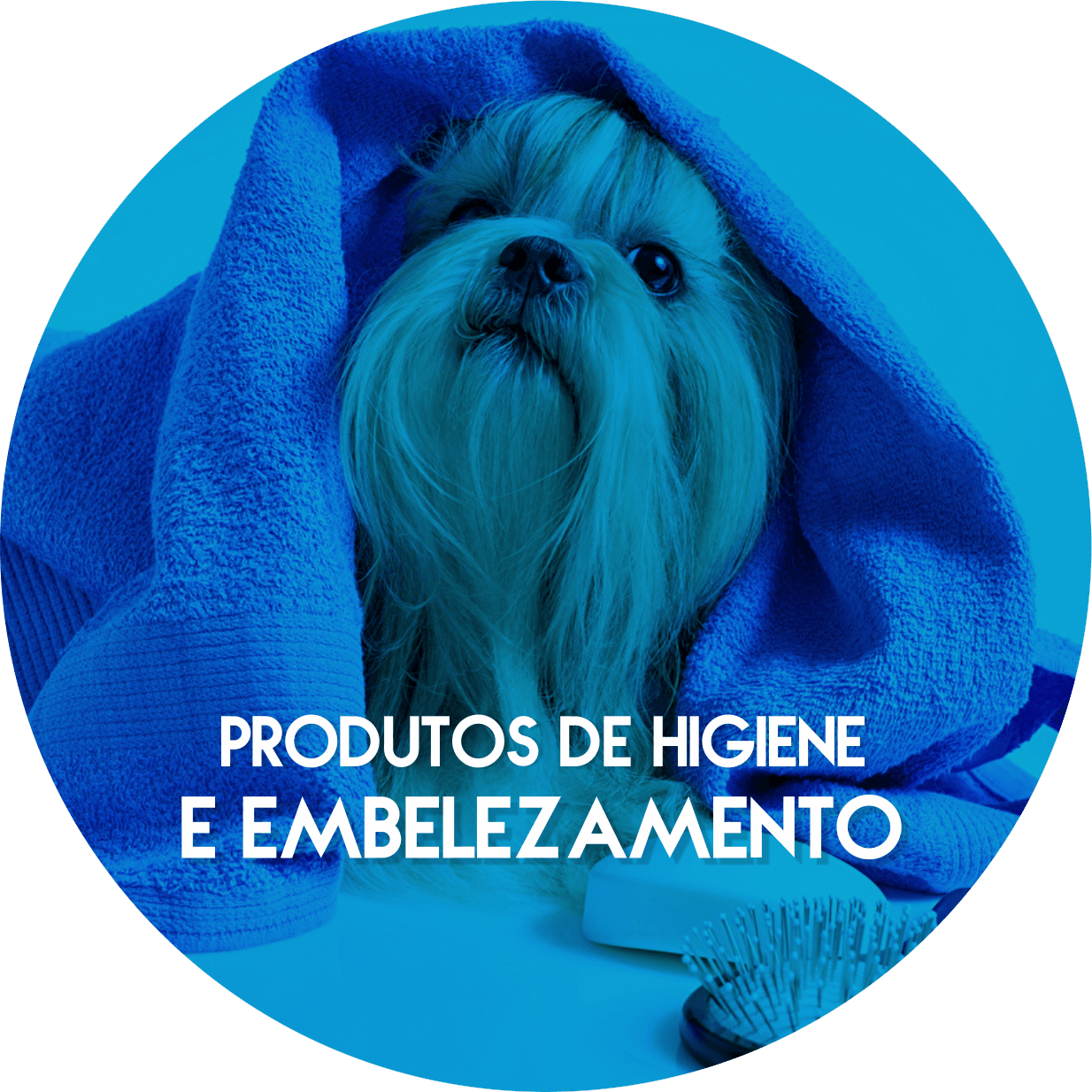 Uma foto de um cachorro enrolado em uma toalha azul