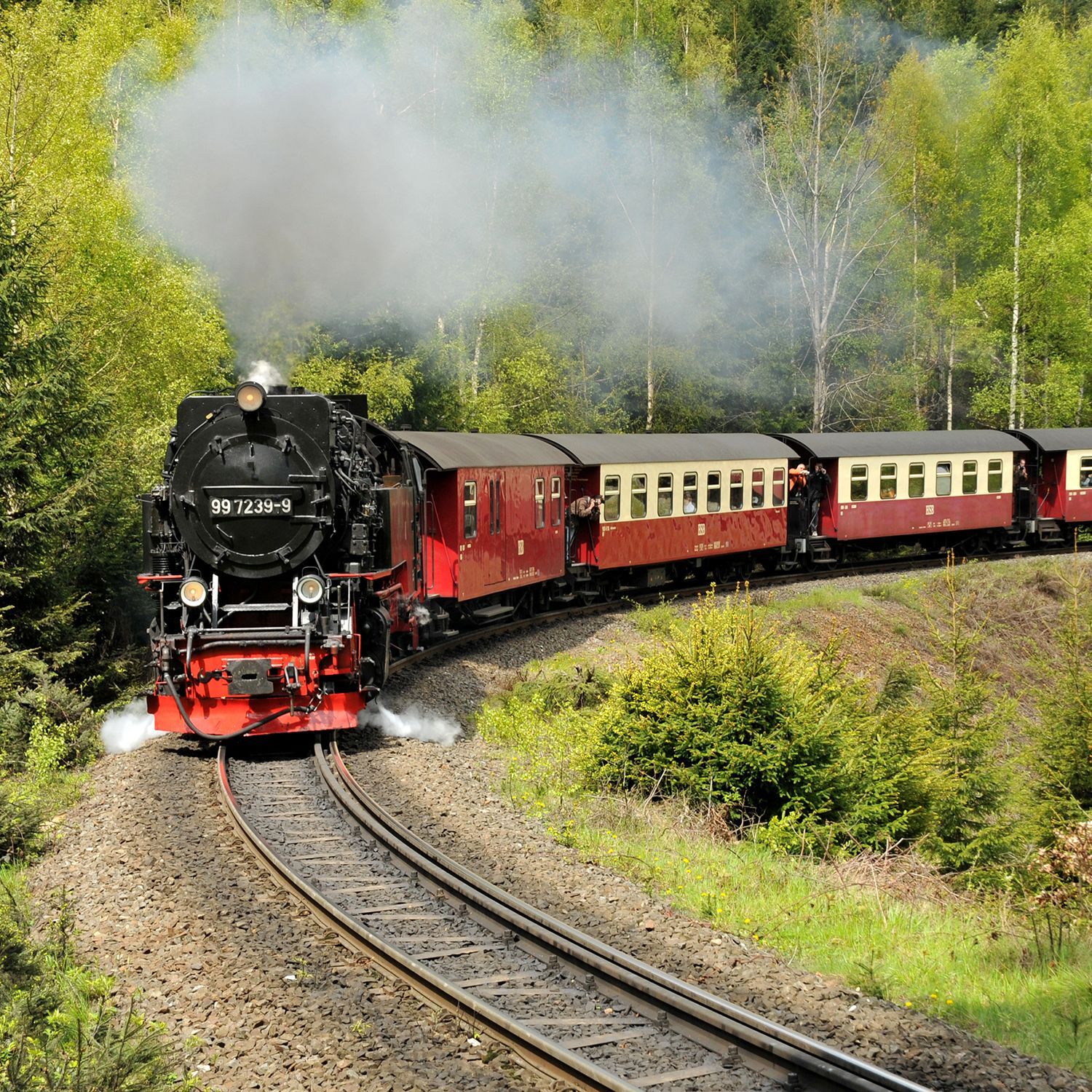 Harzer Schmalspurbahn