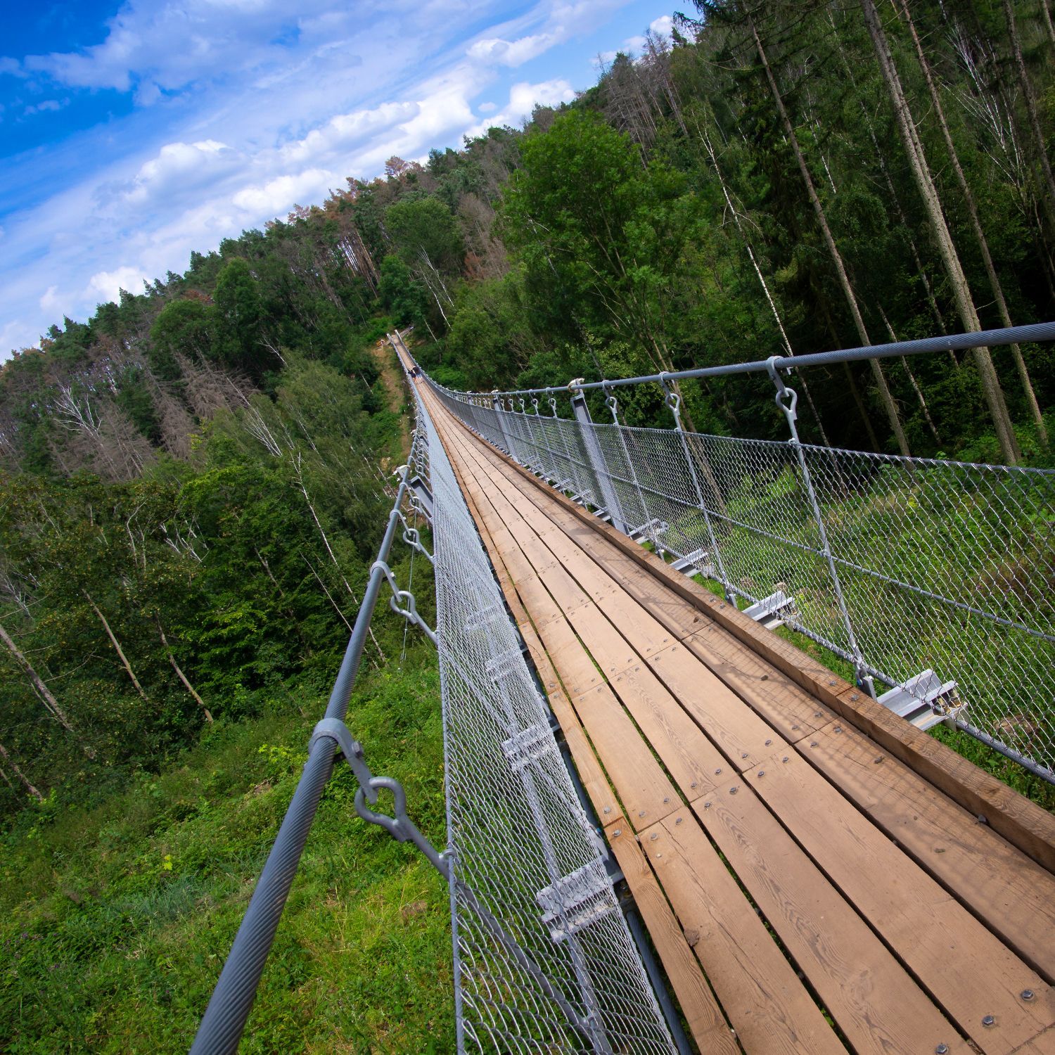 Hängeseilbrücke Braunsroda