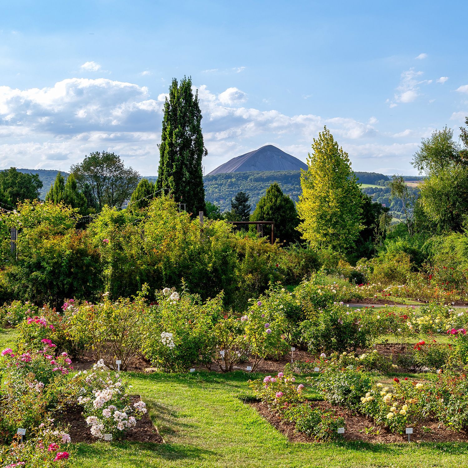 Rosarium Sangerhausen
