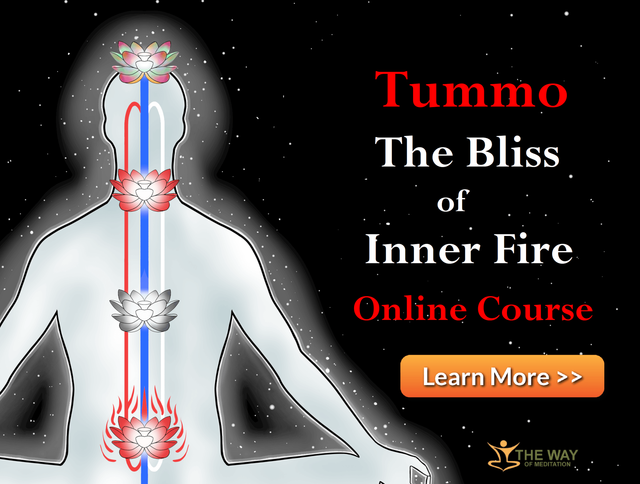 The Bliss of Inner Fire - The Wisdom Experience