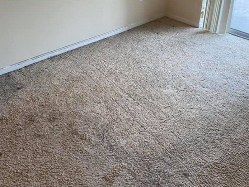 junk removal, cleanouts, dumpster rentals, land clearing, demolition, winchester, northern va, iron bull hauling