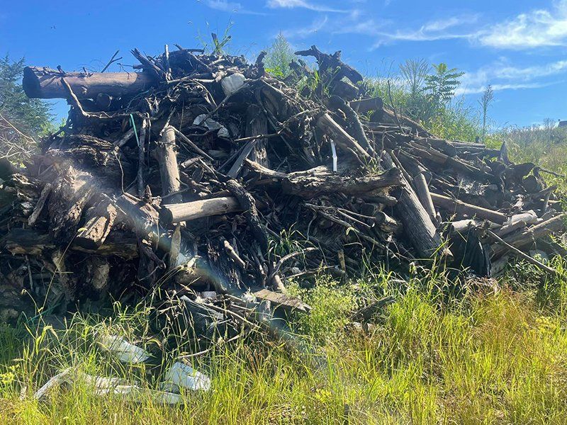 junk removal, cleanouts, dumpster rentals, land clearing, demolition, winchester, northern va, iron bull hauling