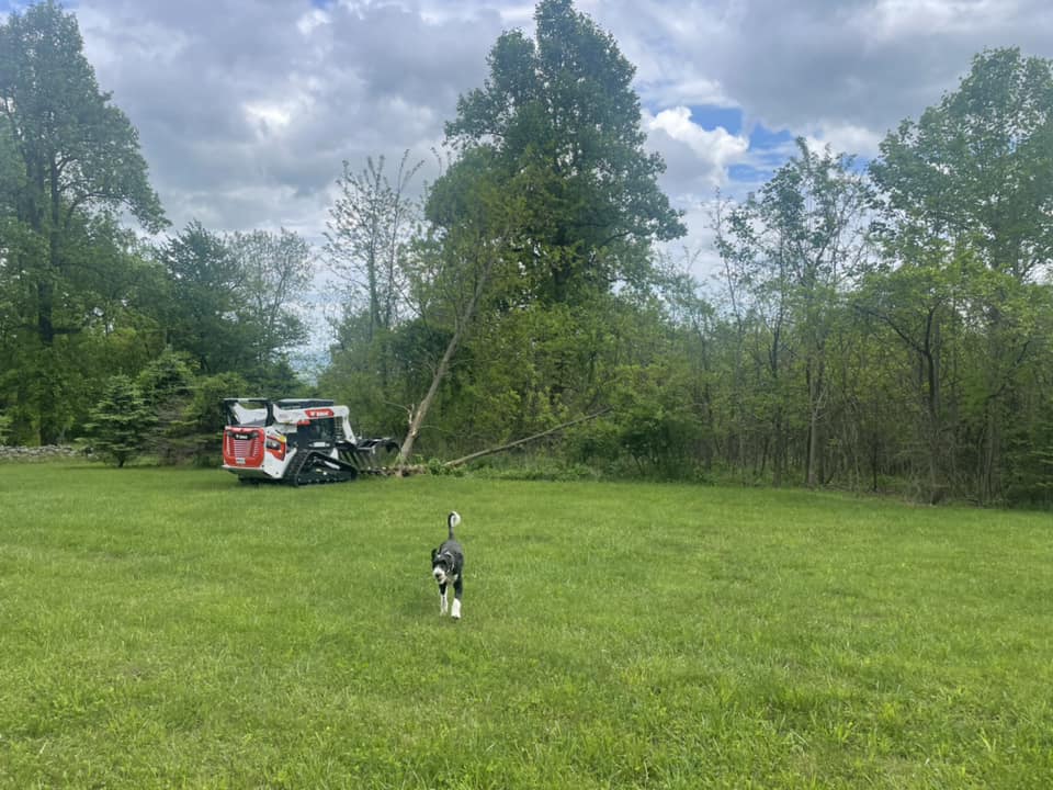 land clearing, junk removal, cleanouts, dumpster rentals, land clearing, demolition, winchester, northern va, iron bull hauling