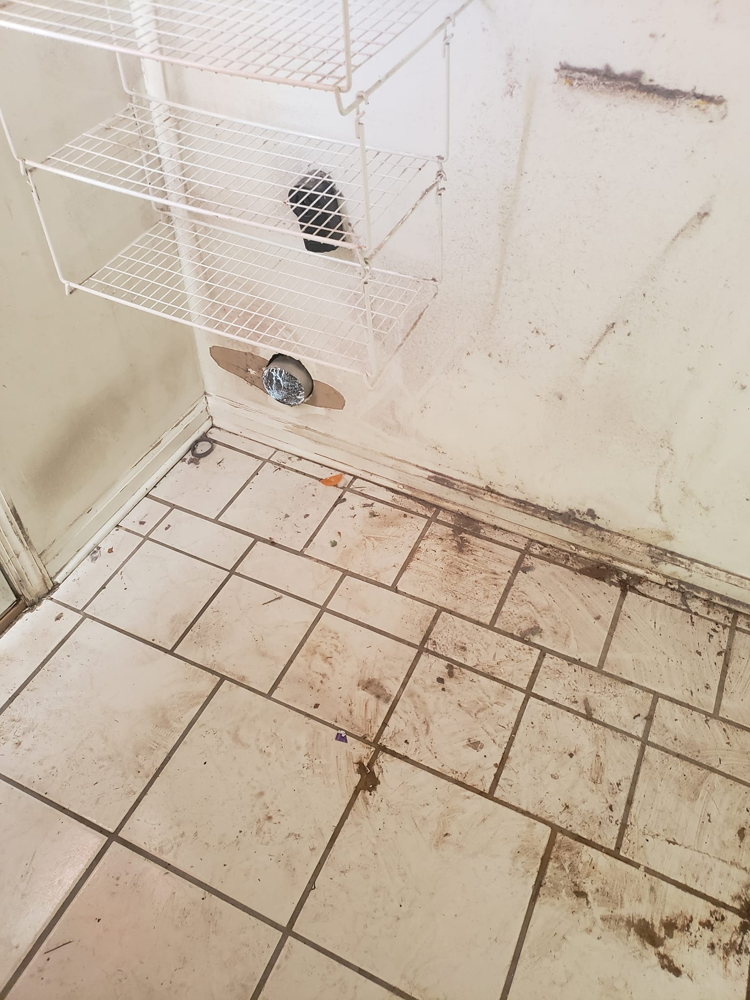 Dirty, tiled floor and walls in a corner, with wire shelving and a damaged wall.