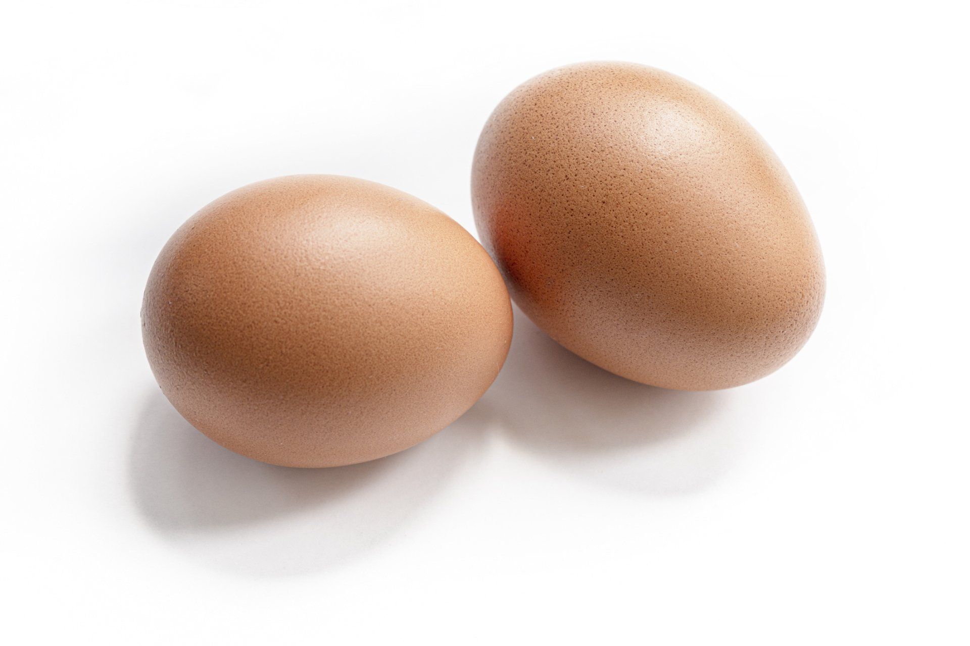Two Eggs — Muncie, IN — Oxley Softwater Co.