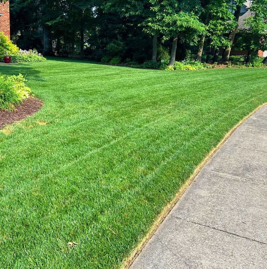 A sidewalk leading to a lush green lawn with trees in the background.