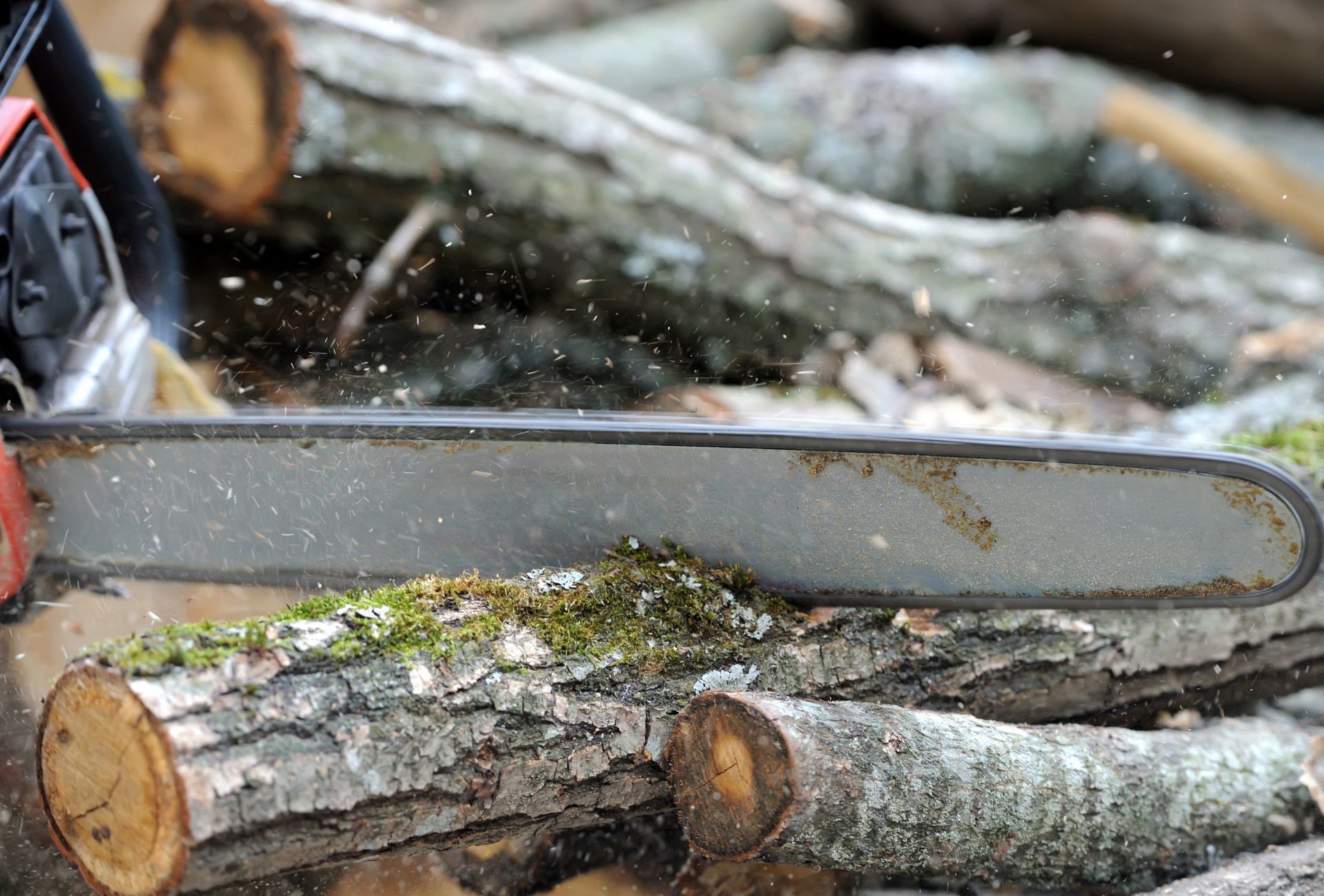 A chainsaw is cutting a piece of wood.