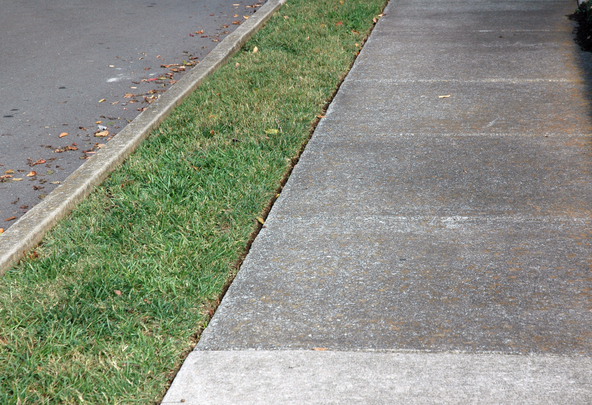 A sidewalk with grass growing on the side of it