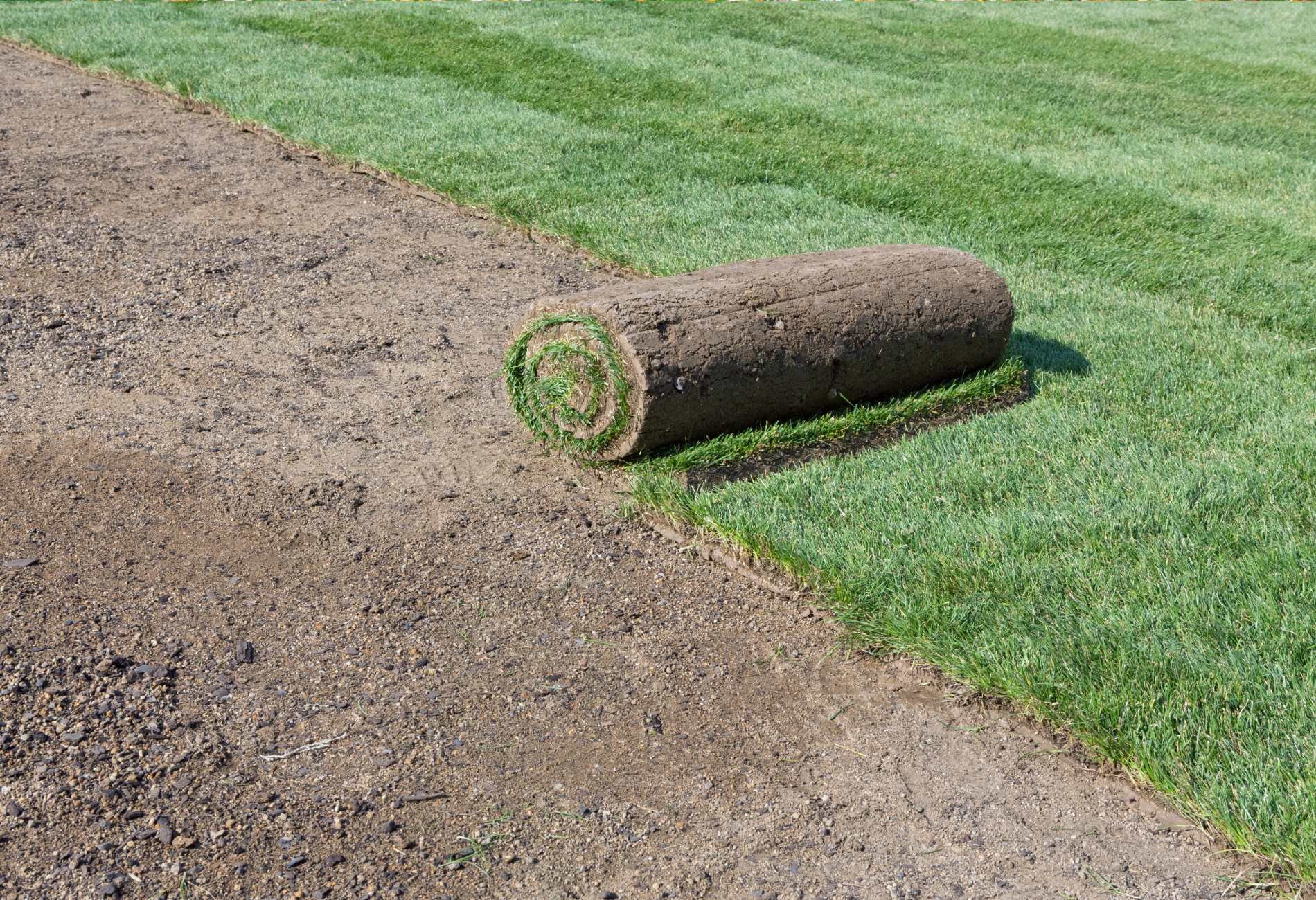 A roll of sod is sitting on the side of a lush green lawn.