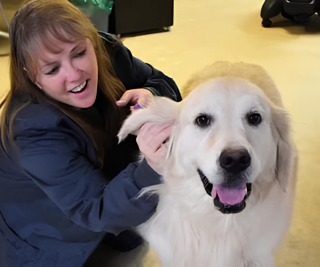 a woman in a suit is petting a white dog