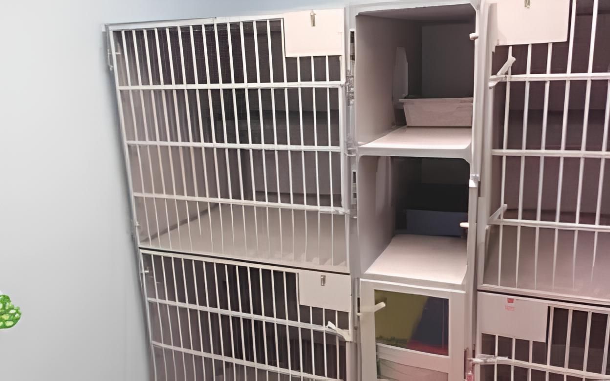 a room filled with lots of cage shelves and boxes