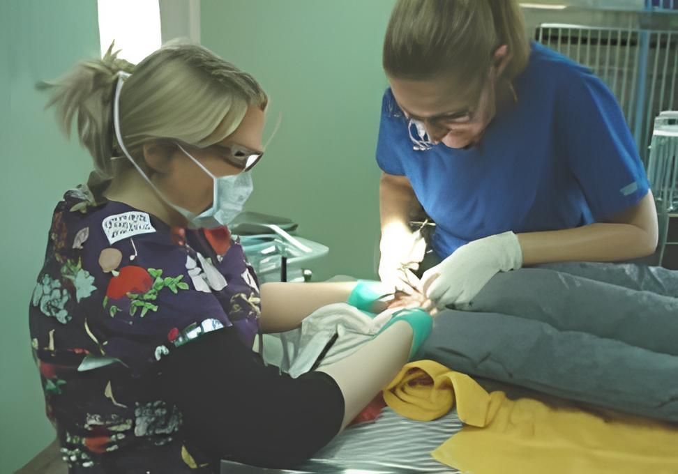 a woman wearing a scrub top that says 'nurse' on it