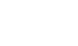 Skyline Realty Group logo
