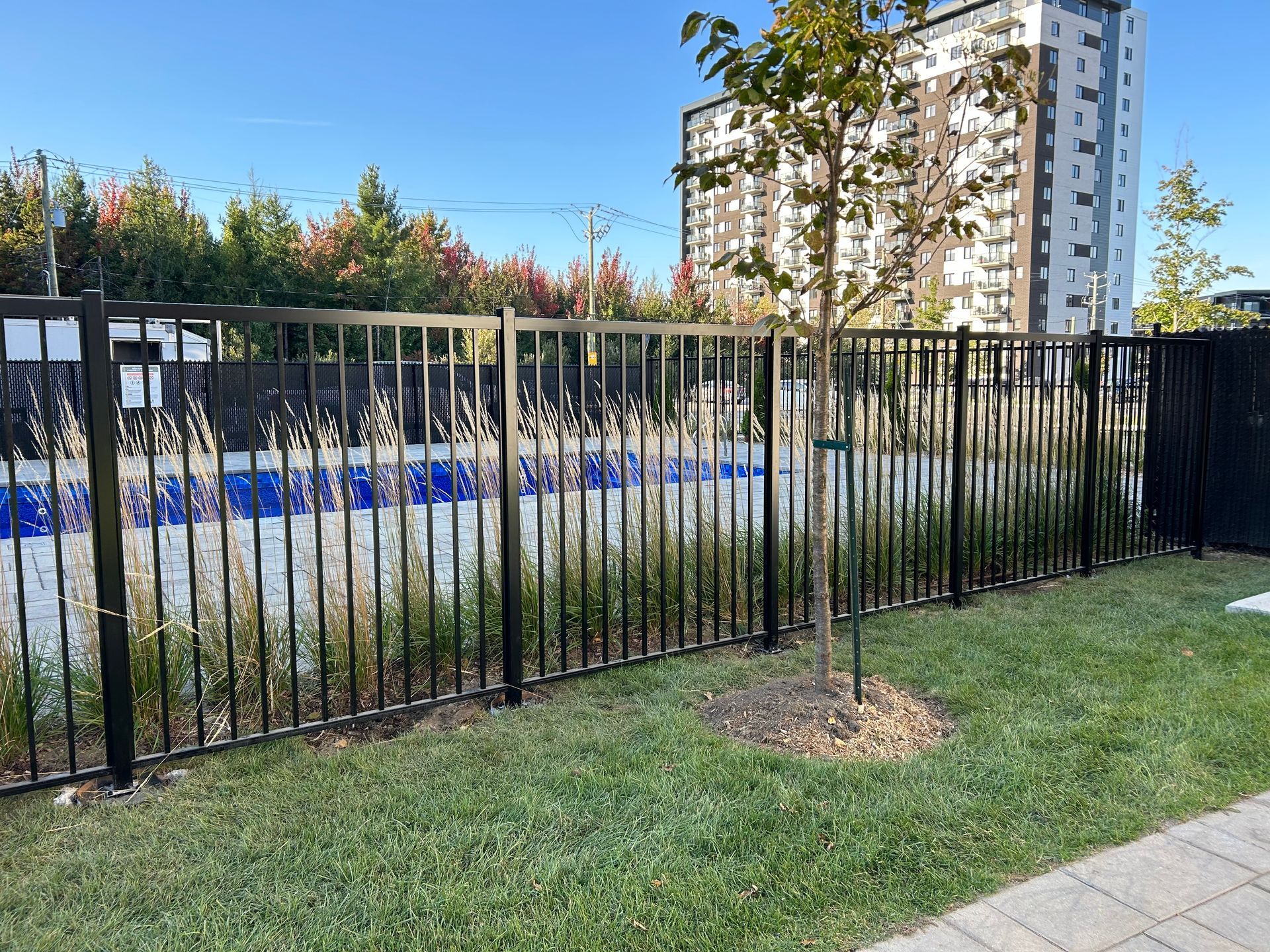 Une clôture métallique entoure une piscine dans un parc.