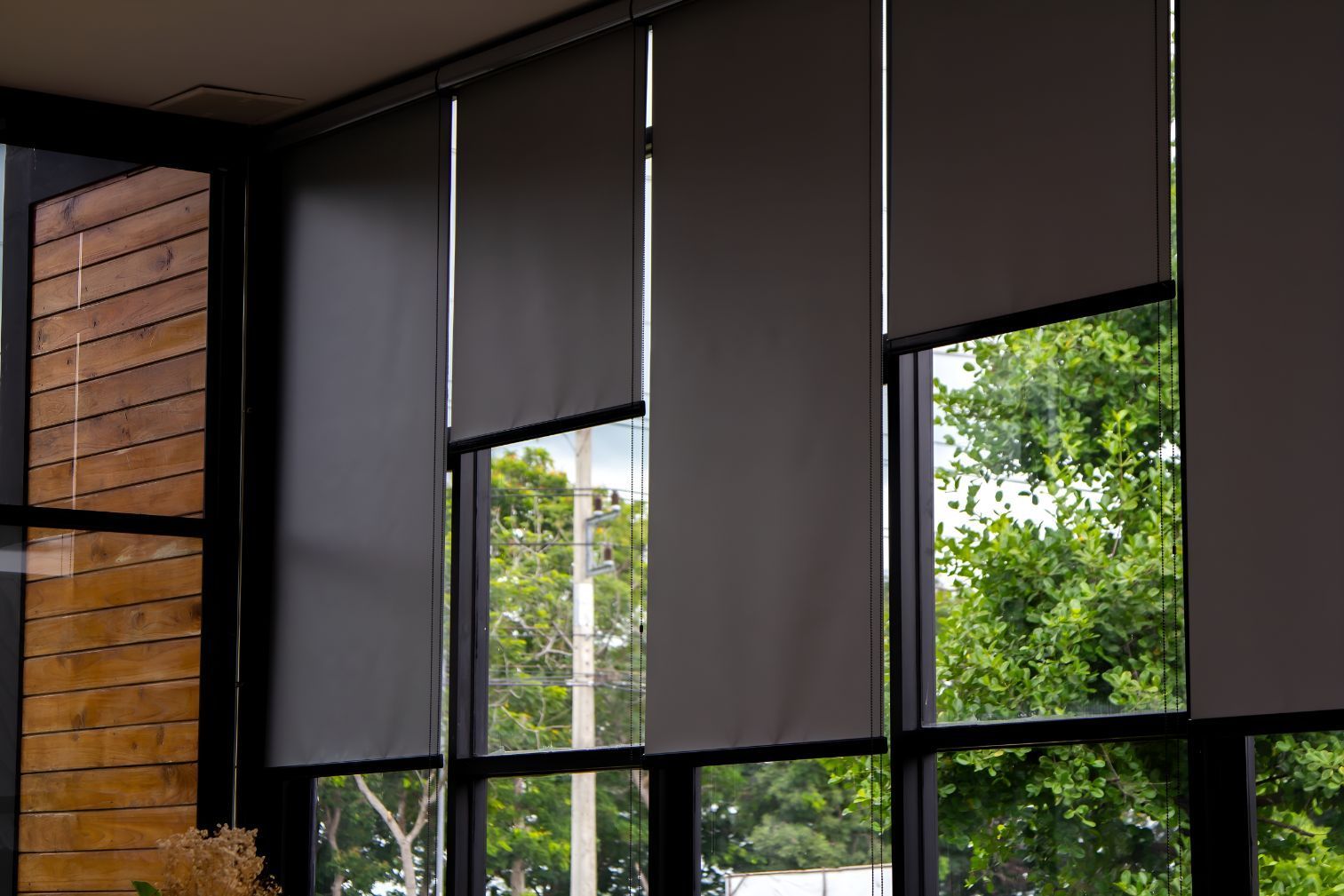 A close up of black roller blinds on a window looking out to trees— Newcastle Curtains And Blinds In Warners Bay, NSW