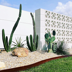 A Garden With Cactus And Rocks In Front Of A White Wall — Creative Landscapes Coffs Harbour In Korora, NSW