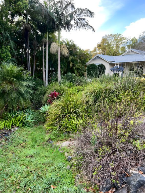 A House Is Surrounded By Lots Of Plants And Trees — Creative Landscapes Coffs Harbour In Sapphire Beach, NSW