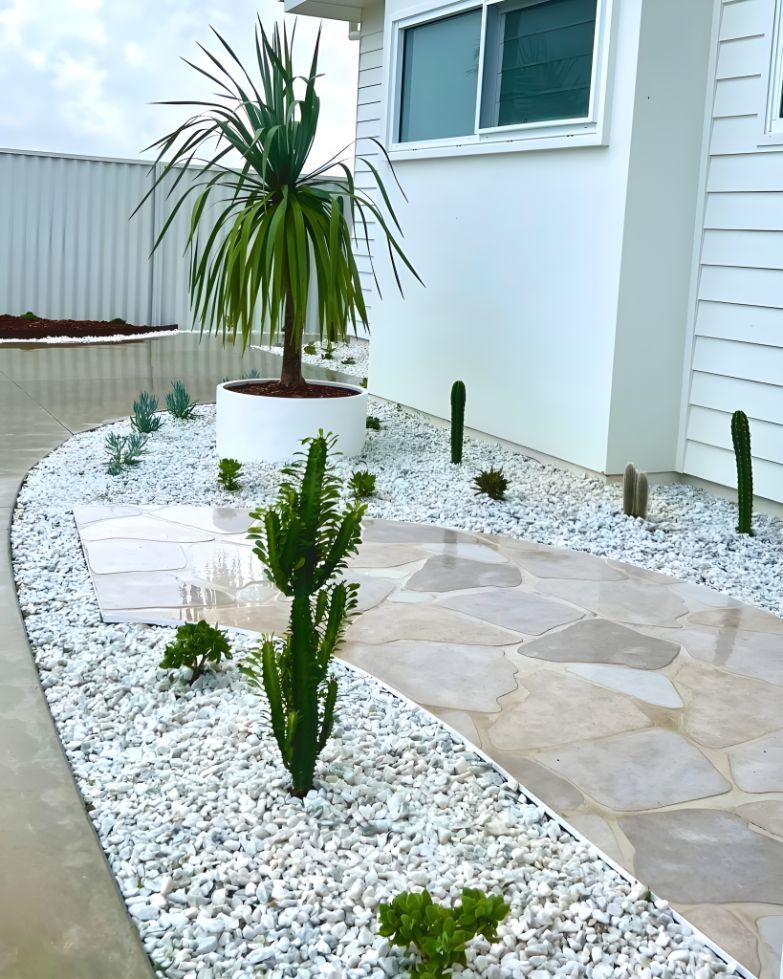 A Garden With A Palm Tree And Cactus In Front Of A White House — Creative Landscapes Coffs Harbour In Korora, NSW