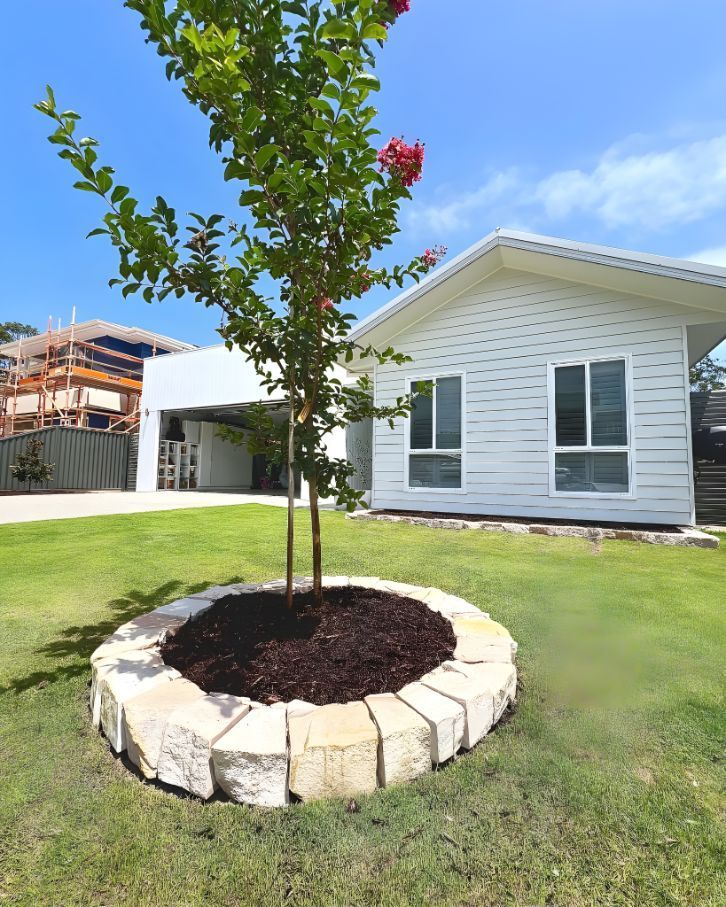 A White House With A Tree In Front Of It — Creative Landscapes Coffs Harbour In Sawtell, NSW