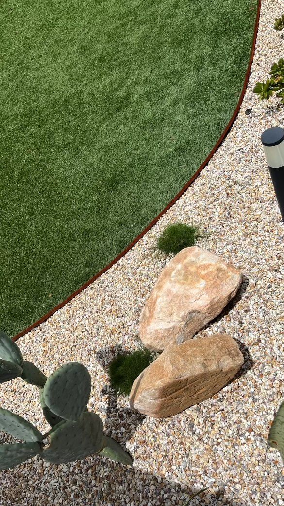 A Cactus Is Sitting Next To A Rock In A Garden — Creative Landscapes Coffs Harbour In Korora, NSW