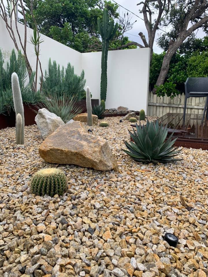 A Rock Garden With Cactus , Rocks , And A Chair — Creative Landscapes Coffs Harbour In Korora, NSW