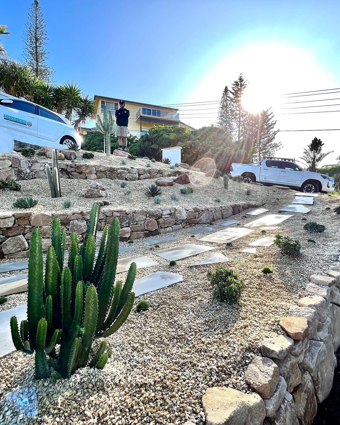 A Cactus Is Growing In A Rock Garden Next To A House — Creative Landscapes Coffs Harbour In Korora, NSW
