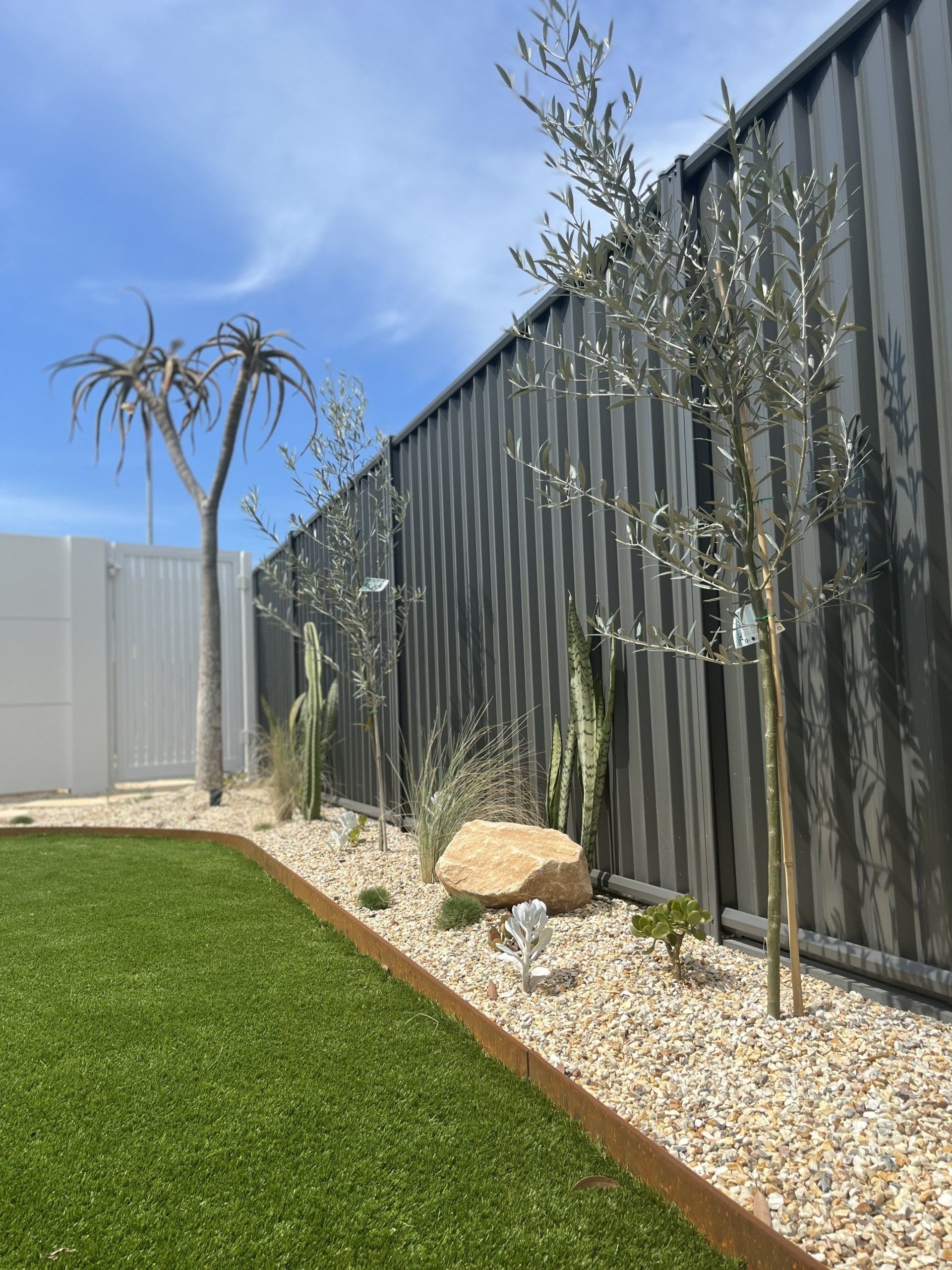 A Backyard With A Fence , Plants , Rocks And A Palm Tree — Creative Landscapes Coffs Harbour In Korora, NSW