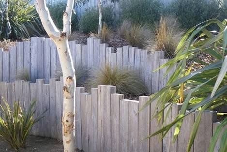 A Tree Is Standing In Front Of A Wooden Fence In A Garden — Creative Landscapes Coffs Harbour In Korora, NSW
