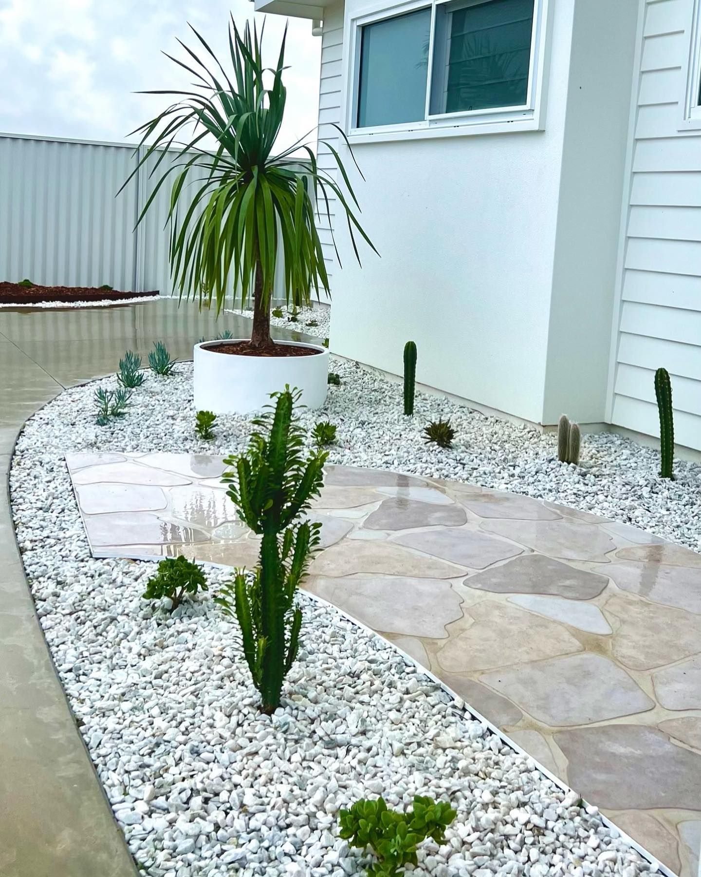 A Garden With A Palm Tree And Cactus In Front Of A White House — Creative Landscapes Coffs Harbour In Korora, NSW