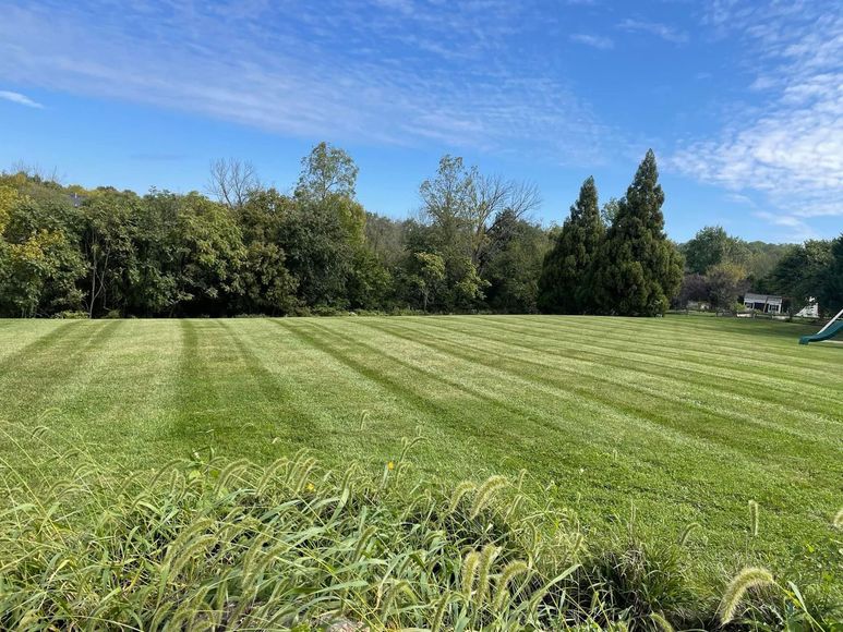 A large lush green field with trees in the background on a sunny day.
