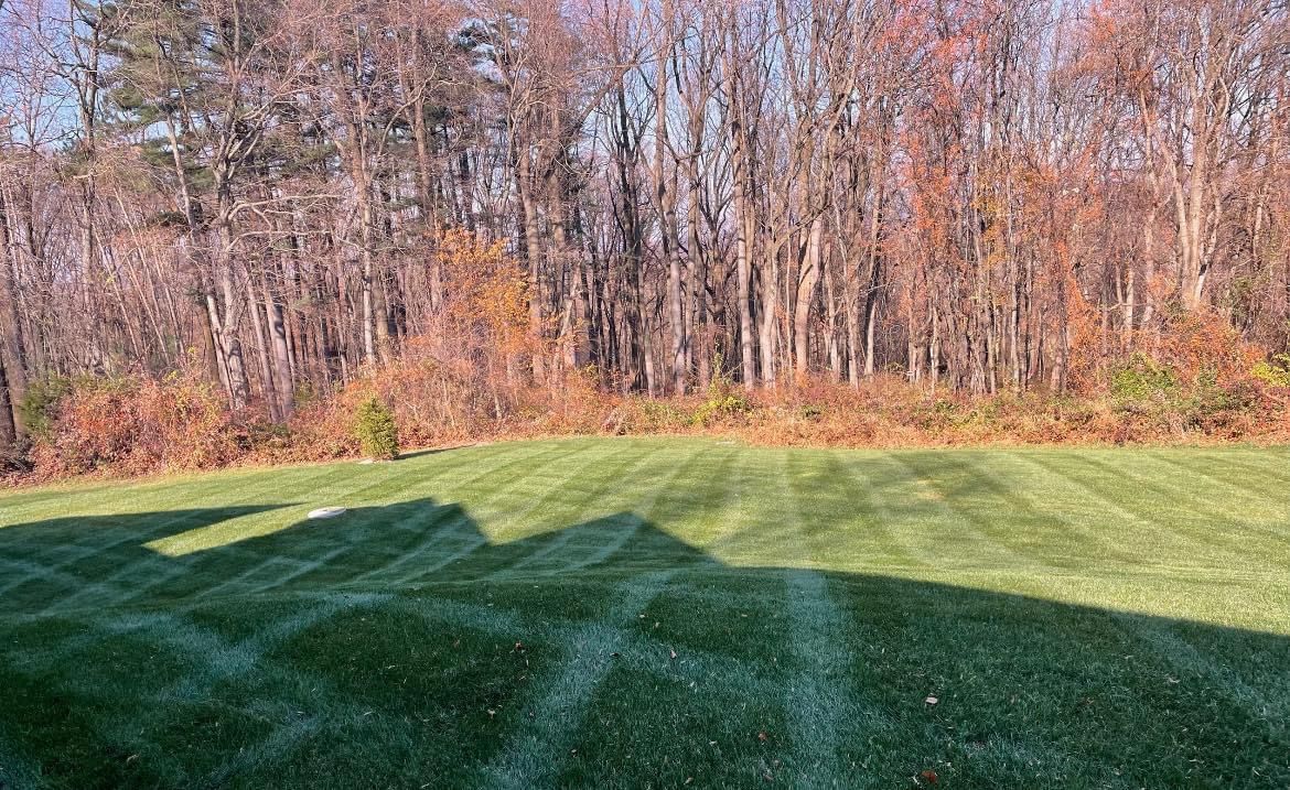 A lush green lawn with trees in the background and a shadow on the grass.
