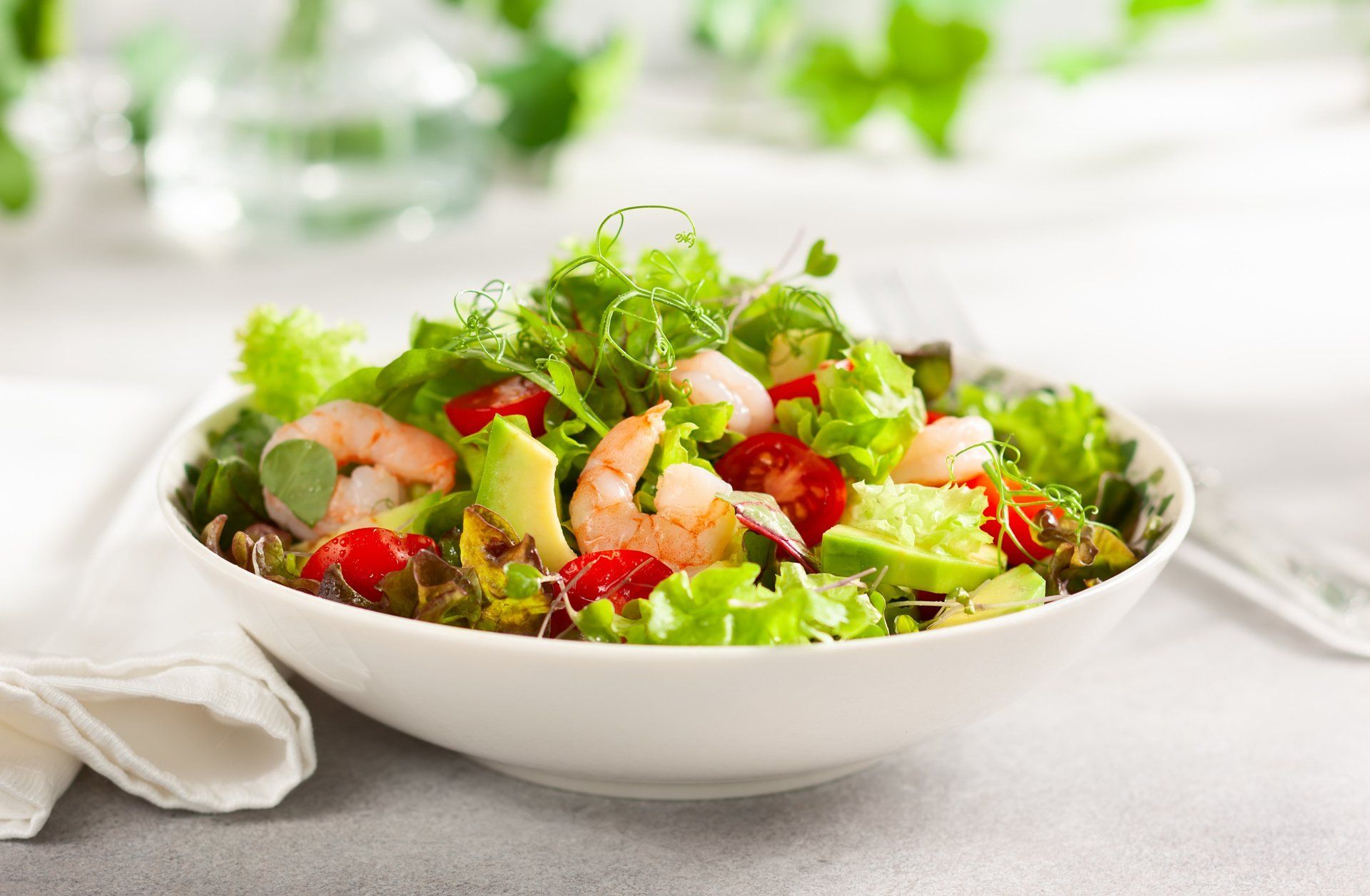 insalata
