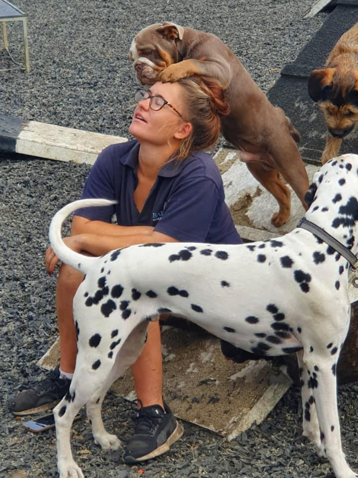 A Barehms worker is sitting on the ground next to a dalmatian dog.