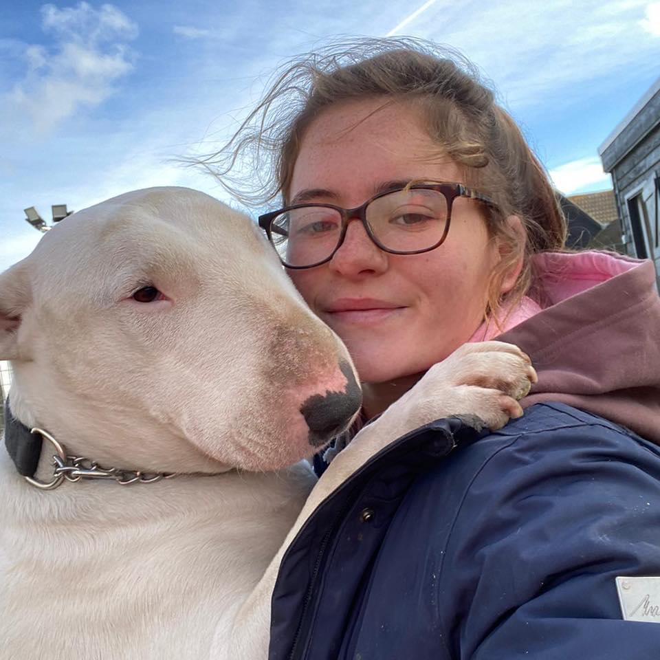 Doggy Day Care Centre for Dogs at Barehams Boarding & Daycare Centre Orsett, Grays, Thurrock