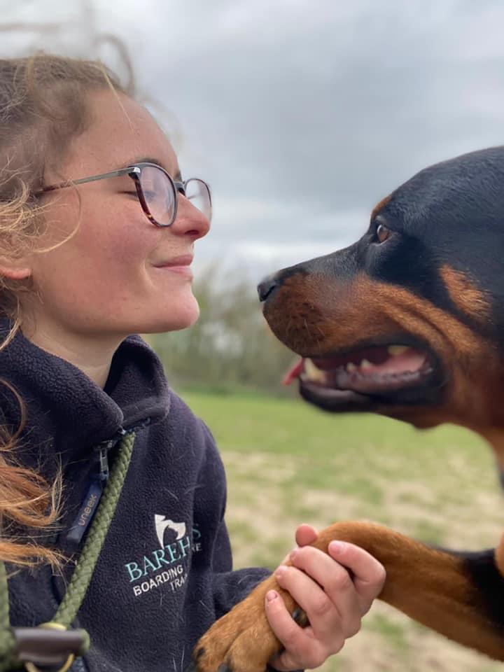 A Barehams worker is holding a dog 's paw and looking at it.