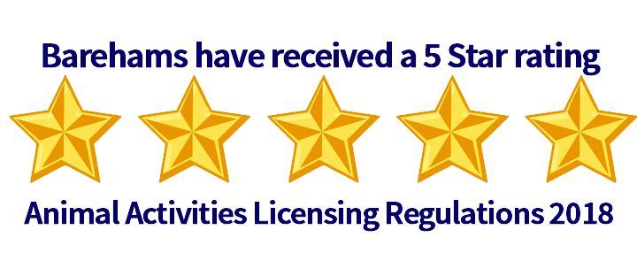 5 star rating Animal Activities Licensing Regulations