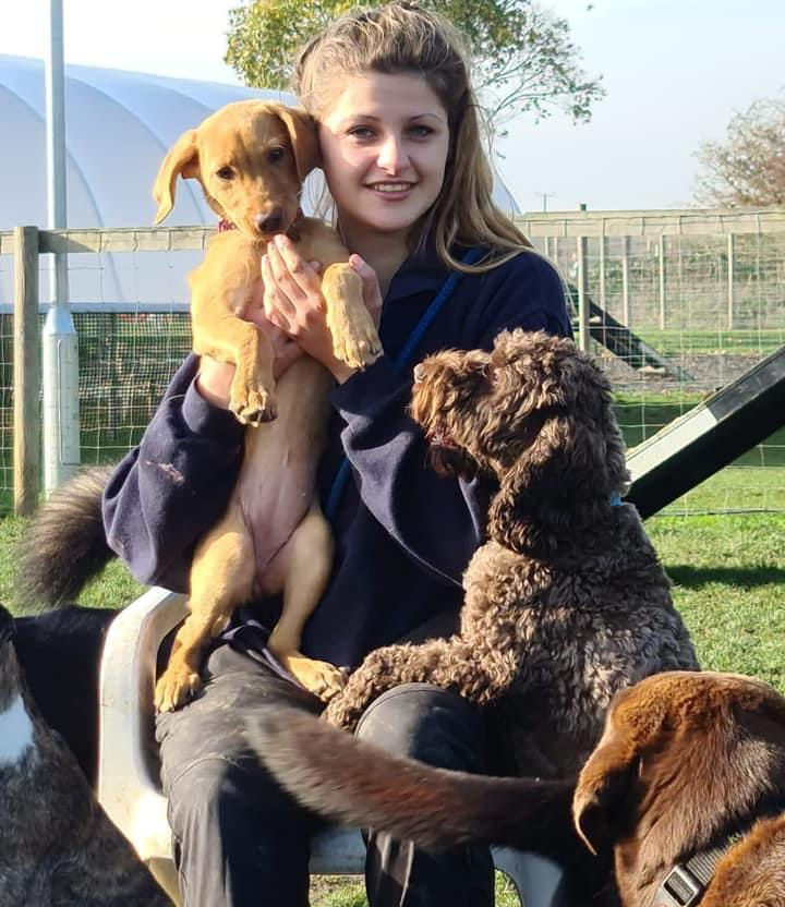 The team at Barehams Kennels orsett Grays Thurrock. We love all pets