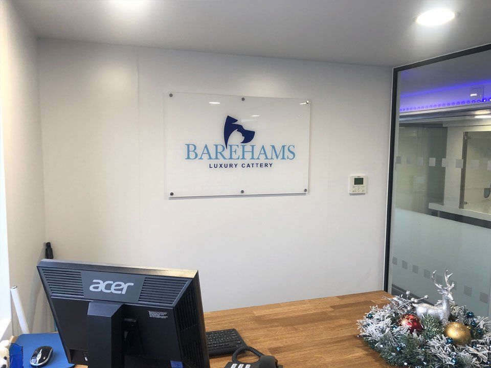 Luxury Cat boarding cattery at Barehams Boarding Kennels & Cattery Orsett Grays, Thurrock 5 star cattery