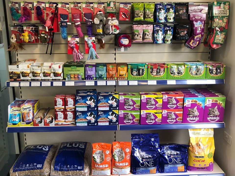 Luxury Cat boarding cattery at Barehams Boarding Kennels & Cattery Orsett Grays, Thurrock 5 star cattery