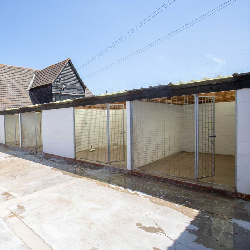 Home from home boarding kennels at Barehams Kennels in Orsett, Grays Thurrock