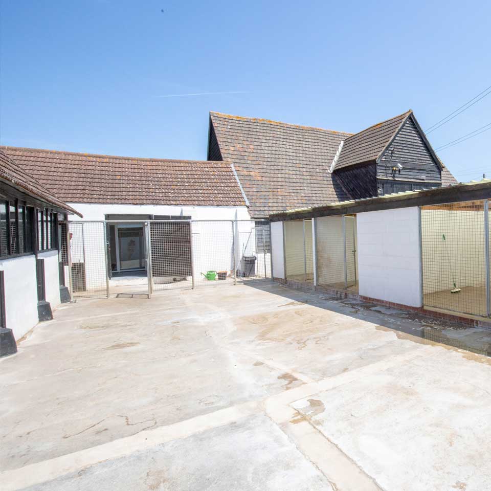 Home from home boarding kennels at Barehams Kennels in Orsett, Grays Thurrock