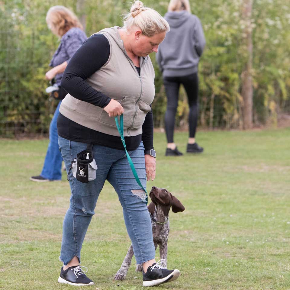 Puppy training classes at Barehams Boarding & Daycare Centre Orsett, Grays, Thurrock