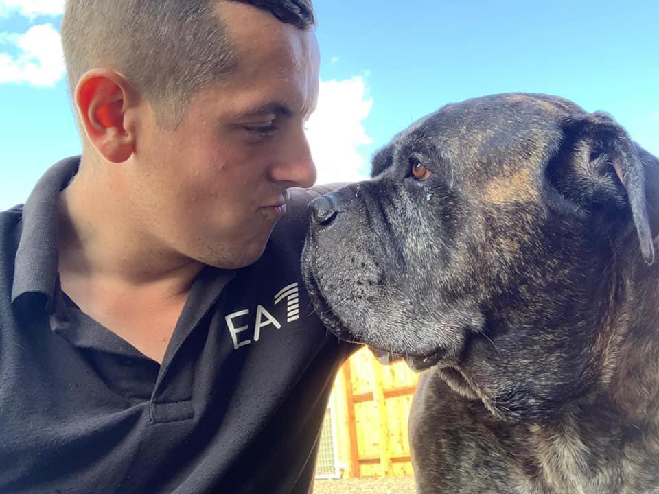 Dog training for all kinds of dogs at Barehams Kennels Orsett, Grays, Thurrock