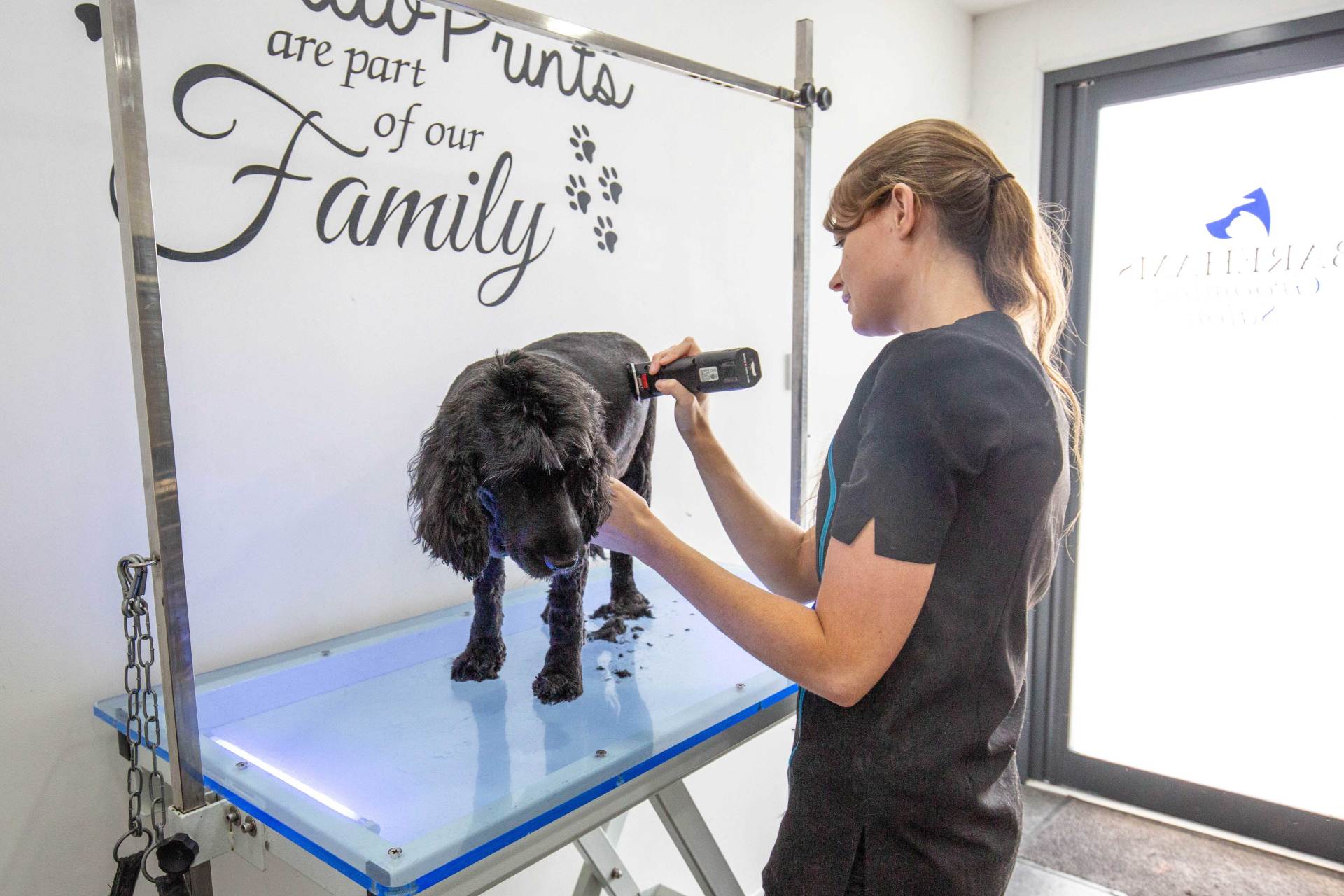 A woman is grooming a small black dog on a table at Barehams